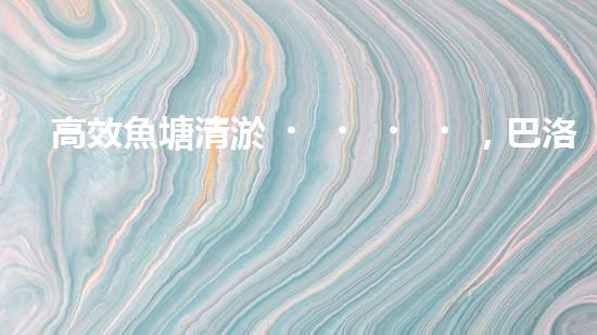 高效魚塘清淤，巴洛仕設(shè)備助力生態(tài)養(yǎng)殖
